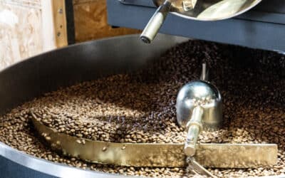 Wij zijn Rainforest Alliance gecertificeerd!